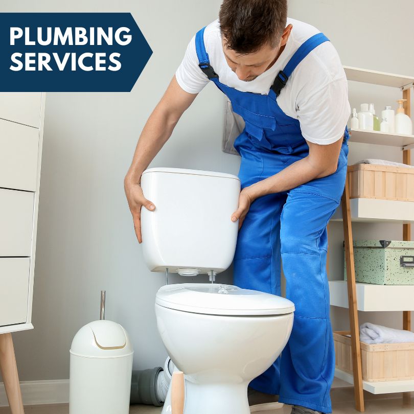 Plumbing Company in Hiwasse, AR